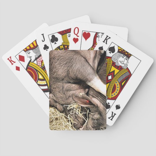 SCHATTIGE SLAPENDE BIGGEN POKERKAARTEN (Achterkant)