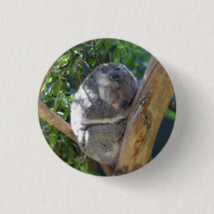 Schattige slapende koala in boom ronde button 3,2 cm