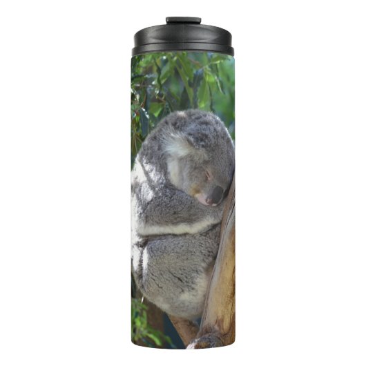 Schattige slapende koala in boom thermosbeker (Voorkant)