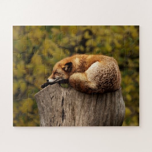 Schattige slapende vos in het wild legpuzzel (Horizontaal)