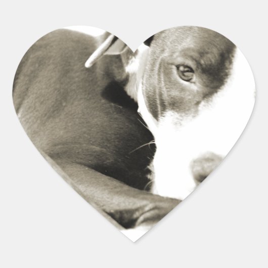 schattige slaperige knul hart sticker (Voorkant)