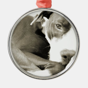 schattige slaperige knul metalen ornament