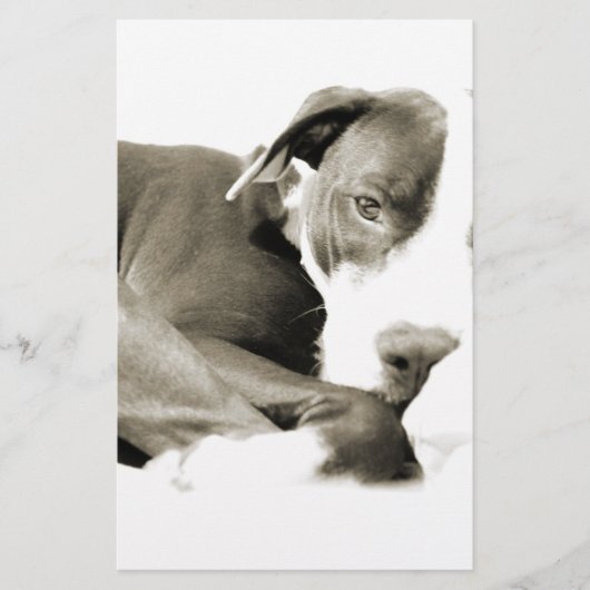 schattige slaperige luie pitbull hond briefpapier (Voorkant)