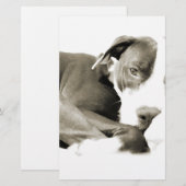 schattige slaperige luie pitbull hond briefpapier (Voorkant / Achterkant)