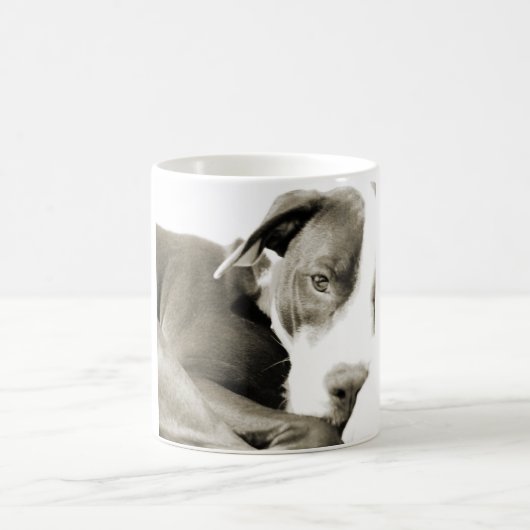 schattige slaperige luie pitbull hond koffiemok (Center)