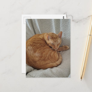 Schattige slaperige oranje kat briefkaart