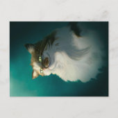 Schattige sluwe kat cadeau| Grappige kat voor verj Feestdagenkaart (Voorkant)