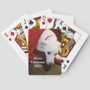 Schattige Sneeuwwitte Puppy Hond rode Kerstmis Pokerkaarten