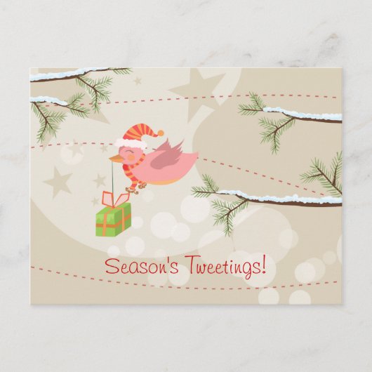 Schattige Snow Bird Christmas-Briefkaart Feestdagenkaart (Voorkant)