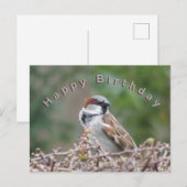 Schattige Sparrow Happy Birthday Briefkaart (Voorkant / Achterkant)