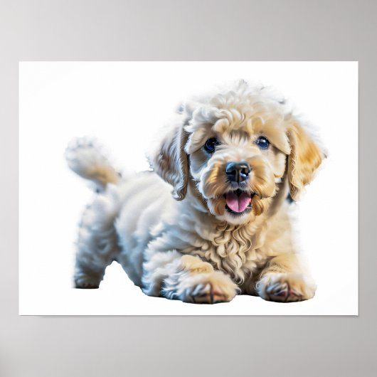 Schattige speelse poedelpuppy poster (Voorkant)