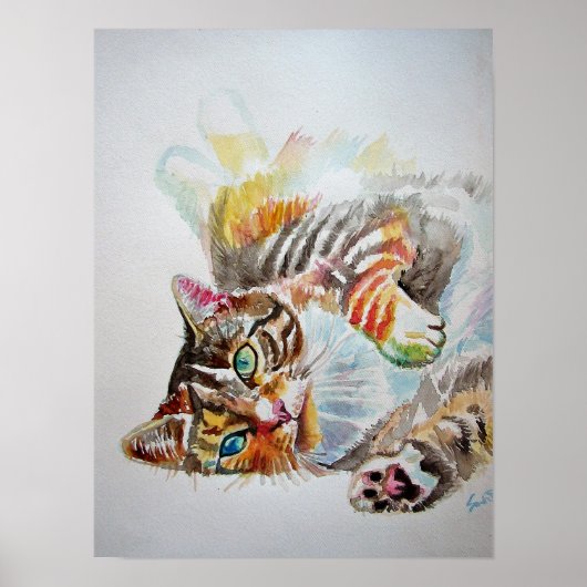 Schattige Spelende Slapende Tabby Kat Katten Poste Poster (Voorkant)