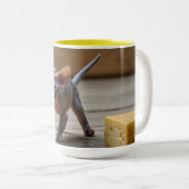 Schattige Sphynx Kitten en Cheese Tweekleurige Koffiemok (Voorkant rechts)