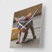 Schattige Sphynx Kitten en Cheese Vierkante Klok (Hoek)