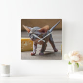 Schattige Sphynx Kitten en Cheese Vierkante Klok (Huis)