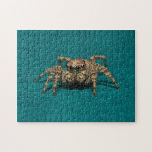 Schattige springende spin dierenfotografie legpuzzel (Horizontaal)