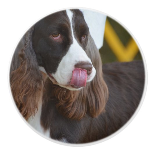 Schattige Springer-Spanjaard Keramische Knop (Voorkant)