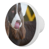 Schattige Springer-Spanjaard Keramische Knop (Rechts)