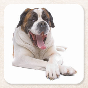Schattige St Bernard cadeau puppy hond liefhebber Kartonnen Onderzetters