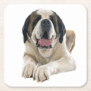 Schattige St Bernard cadeau puppy hond liefhebber Kartonnen Onderzetters