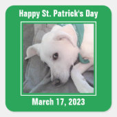 Schattige St. Patrick's Day groene luie hond Vierkante Sticker (Voorkant)