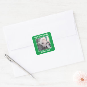 Schattige St. Patrick's Day groene luie hond Vierkante Sticker
