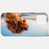 Schattige starende hond met blauwe hemelachtergron Case-Mate iPhone case (Achterkant (horizontaal))