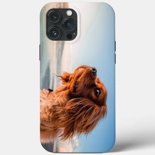 Schattige starende hond met blauwe hemelachtergron Case-Mate iPhone case (Achterkant)