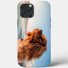 Schattige Starende Hond Tegen Een Blauwe Lucht Ach Case-Mate iPhone Case