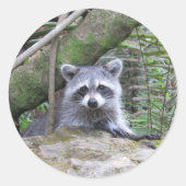 Schattige Stickers (Voorkant)