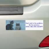 Schattige Stray kitten stuurt een bericht Bumpersticker (Op auto)