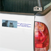 Schattige Stray kitten stuurt een bericht Bumpersticker (Op Truck)