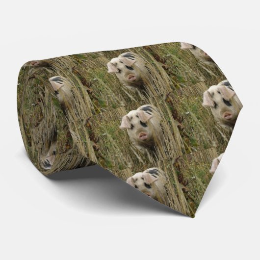 Schattige Stropdas (Opgerold)