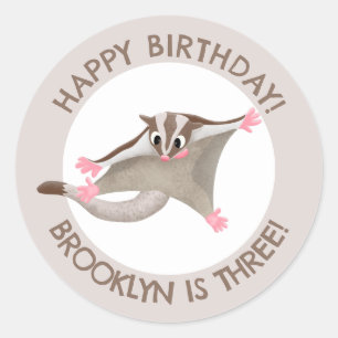 Schattige Sugar Glider Gepersonaliseerde cartoon V Ronde Sticker