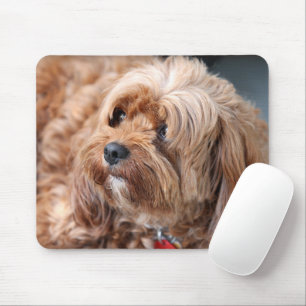 Schattige Sweet Cavoodle Puppy Muismat