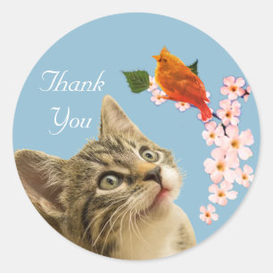 Schattige tabby kat, bloemen & kleine vogel dank j ronde sticker