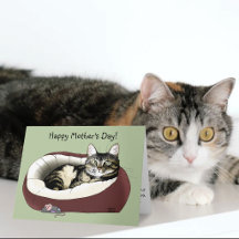 Schattige Tabby Kat Groene Moederdag