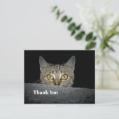 Schattige tabby kat kijkt foto bedankt briefkaart (Staand voorkant)
