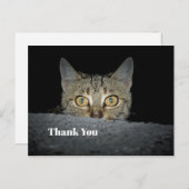 Schattige tabby kat kijkt foto bedankt briefkaart (Voorkant / Achterkant)
