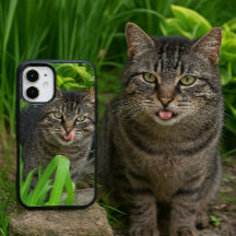 Schattige Tabby Kat Kus