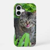 Schattige Tabby Kat Kus iPhone 16 Hoesje (Achterkant)