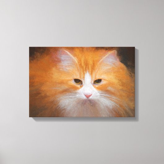 Schattige Tabby Kat Oranje Witte Pluizige Mooie Canvas Afdruk (Voorkant)