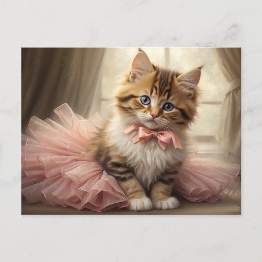 Schattige Tabby Kitten Dragen een roze Tutu Briefkaart (Voorkant)
