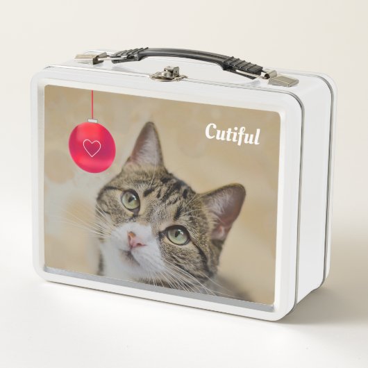 Schattige tabby poes kat & rode bal (Voorkant)