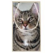 Schattige tablet Kat Foto Gift Bag Klein Cadeauzakje (Achterkant)