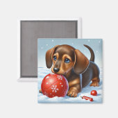 Schattige teckel puppy spelen met rode bal magneet (Voorkant / Achterkant)