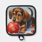 Schattige teckel puppy spelen met rode bal pannenlap (Voorkant)