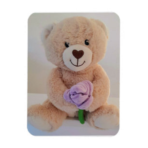 Schattige teddybeer gefeliciteerd met jullie nieuw magneet