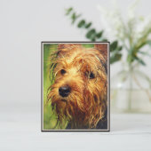Schattige Terrier Dog met een nat gezicht Briefkaart (Staand voorkant)