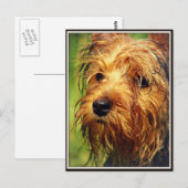 Schattige Terrier Dog met een nat gezicht Briefkaart (Voorkant / Achterkant)